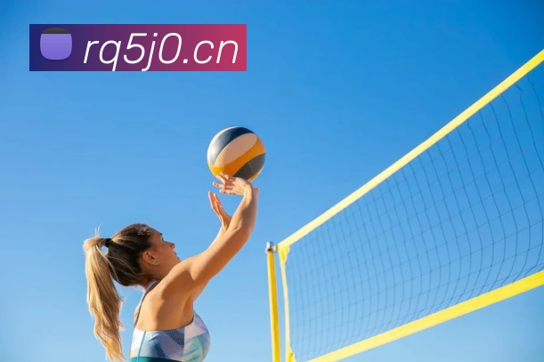 App Interface Preview