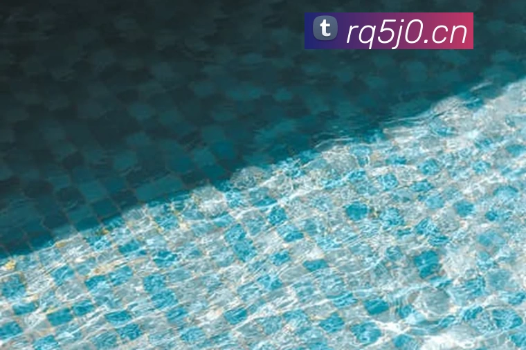 九游体育在线登录入口APP 封面图